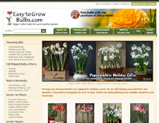 Easy To Grow Bulbs